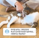 고양이가 그루밍할때 제 손이 보이면 미친듯이 핥아줘요. 사랑한다는 뜻일까요? - 악플달면 쩌리쩌려버려 - ＊여성시대＊ 차분한 20대들의... 