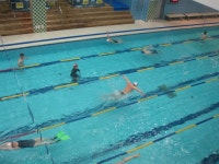 은은한 광기가 서려있는 갓생러들 보러가는 법 - 악플달면 쩌리쩌려버려 - ＊여성시대＊ 차분한 20대들의 알흠다운 공간 은은한 광기가 서려있는... 