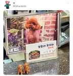 약국 이름이 포도길래 약사님이 포도를 좋아하나? 궁금했는데 - 인스티즈(instiz) 이슈 카테고리 약국 이름이 포도길래 약사님이 포도를... 