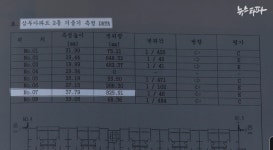 제2의 삼풍백화점이 될 수 있다는 인천 동구 삼두아파트 - 악플달면 쩌리쩌려버려 - ＊여성시대＊ 차분한 20대들의 알흠다운 공간 제2의... 
