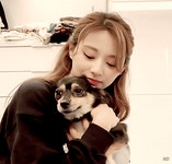 보호소에서 엄마-새끼 강아지 입양한 트와이스 쯔위.jpg - 막이슈 - 쭉빵카페 보호소에서 엄마-새끼 강아지 입양한 트와이스 쯔위.jpg