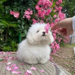 예쁜 이미지 모음.jpg (스압) - 악플달면 쩌리쩌려버려 - ＊여성시대＊ 차분한 20대들의 알흠다운 공간 예쁜 이미지 모음.jpg (스압)