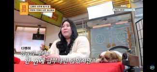 [물어보살] 22마리 강아지와 동거 중인데, 주변 시선과 걱정이... 공간 [물어보살] 22마리 강아지와 동거 중인데, 주변 시선과 걱정이 힘들어요