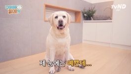 설채현X가비의 다이어트하개에 출연한 뚱댕이들 - 악플달면... 차분한 20대들의 알흠다운 공간 설채현X가비의 다이어트하개에 출연한 뚱댕이들