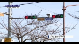왜 좌회전 신호는 빨간불이 같이 들어올까? - 악플달면 쩌리쩌려버려... 차분한 20대들의 알흠다운 공간 왜 좌회전 신호는 빨간불이 같이 들어올까?