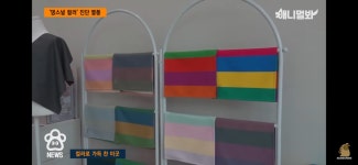 퍼스널컬러 진단 받는 댕댕이들 - 악플달면 쩌리쩌려버려 - ＊여성시대＊ 차분한 20대들의 알흠다운 공간 퍼스널컬러 진단 받는 댕댕이들