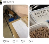 우리동네에 전국구조직 깡패 아저씨 사는데 밤마다 길고양이들한테.thread - 악플달면 쩌리쩌려버려 - ＊여성시대＊ 차분한 20대들의... 