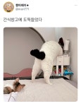 간식창고에 도둑들었다 - 악플달면 쩌리쩌려버려 - ＊여성시대＊ 차분한 20대들의 알흠다운 공간 간식창고에 도둑들었다