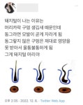 더쿠 - 머리카락 중 정체를 알 수 없는 머리카락...jpg