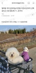 우리 강아지랑 이모네 강아지 같이 산책갔는데 - 악플달면 쩌리쩌려버려 - ＊여성시대＊ 차분한 20대들의 알흠다운 공간 우리 강아지랑 이모네... 