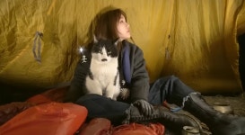 캠핑하는데 찾아온 코찔찔 고양이.gif - 악플달면 쩌리쩌려버려 - ＊여성시대＊ 차분한 20대들의 알흠다운 공간 캠핑하는데 찾아온 코찔찔... 
