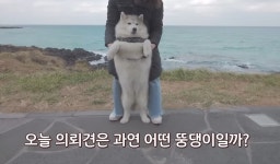 설채현X가비의 다이어트하개에 출연한 뚱댕이들 - 악플달면... 차분한 20대들의 알흠다운 공간 설채현X가비의 다이어트하개에 출연한 뚱댕이들