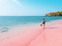 수채화 색감의 아름다운 발리 코모도섬 핑크비치🏝.jpg - 악플달면... 알흠다운 공간 수채화 색감의 아름다운 발리 코모도섬 핑크비치🏝.jpg