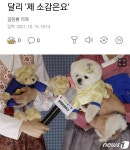 수상 소감하는 강아지 달리 - 악플달면 쩌리쩌려버려 - ＊여성시대＊ 차분한 20대들의 알흠다운 공간 수상 소감하는 강아지 달리