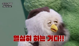 딩동댕대학교 - └ 짤방백과(콧멍으로편입) - ＊여성시대＊ 차분한 20대들의 알흠다운 공간 딩동댕대학교