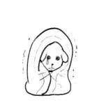 처음보는 듀가나디 짤 모음 - └ 짤방백과(콧멍으로편입) - ＊여성시대＊ 차분한 20대들의 알흠다운 공간 처음보는 듀가나디 짤 모음