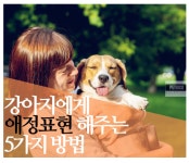강아지에게 애정표현 제대로 해주는 방법 5가지 - 악플달면... 차분한 20대들의 알흠다운 공간 강아지에게 애정표현 제대로 해주는 방법 5가지