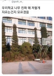 우리학교 나무 진짜 왜 저렇게 자르는건지 모르겠음 - 악플달면 쩌리쩌려버려 - ＊여성시대＊ 차분한 20대들의 알흠다운 공간 우리학교 나무 진짜... 