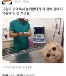 우울한 여시들 이리컴 - 악플달면 쩌리쩌려버려 - ＊여성시대＊ 차분한 20대들의 알흠다운 공간 우울한 여시들 이리컴