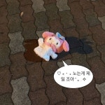 내 취향 짤 🧸💬💭 - └ 짤방백과(콧멍으로편입) - ＊여성시대＊ 차분한 20대들의 알흠다운 공간 내 취향 짤 🧸💬💭