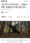 “말 머리가 바닥으로”…‘태종이방원’ 동물학대 의혹 장면 보니 - 악플달면 쩌리쩌려버려 - ＊여성시대＊ 차분한 20대들의 알흠다운 공간... 