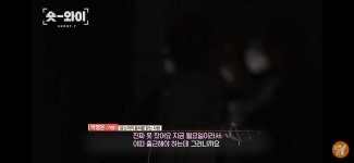 [궁금한이야기Y] 도심 속 새벽 꼬끼오 소동(닭 사진 있음) - 악플달면 쩌리쩌려버려 - ＊여성시대＊ 차분한 20대들의 알흠다운 공간... 