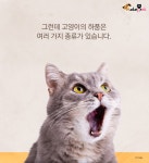 내가 쓰담쓰담해줄때마다 고양이가 하품을 해..그냥 졸려서 그런걸까? - 악플달면 쩌리쩌려버려 - ＊여성시대＊ 차분한 20대들의 알흠다운 공간... 