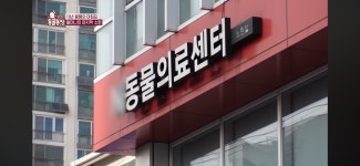 [동물농장] 87세 할머니가 병원 치료를 거부한 이유 - 악플달면... 20대들의 알흠다운 공간 [동물농장] 87세 할머니가 병원 치료를 거부한 이유
