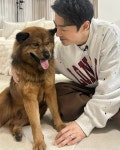 동물농장 똥개보필프로젝트에 참여중인 연예인과 임보 강아지들... 알흠다운 공간 동물농장 똥개보필프로젝트에 참여중인 연예인과 임보 강아지들
