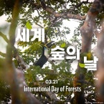 3월 21일(오늘)이 무슨 날이지? - 악플달면 쩌리쩌려버려 - ＊여성시대＊ 차분한 20대들의 알흠다운 공간 3월 21일(오늘)이 무슨 날이지?