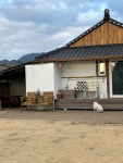 춘천 독채펜션에서 강쥐랑 솥뚜껑 삼겹살 해먹고온 촌캉스 후기... 공간 춘천 독채펜션에서 강쥐랑 솥뚜껑 삼겹살 해먹고온 촌캉스 후기 🐽