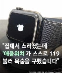 주인이 쓰러져서 의식잃으면 스스로 119에 전화거는 애플워치... 알흠다운 공간 주인이 쓰러져서 의식잃으면 스스로 119에 전화거는 애플워치