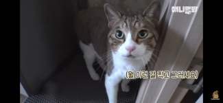 [동물농장] 밤마다 벌어지는 she.. 테러의 범인 - 악플달면... 차분한 20대들의 알흠다운 공간 [동물농장] 밤마다 벌어지는 she.. 테러의 범인