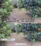 우연히 만난 길냥이들 냥줍하려고 3000만원짜리 집 지은 유튜버 (스압주의) - 악플달면 쩌리쩌려버려 - ＊여성시대＊ 차분한 20대들의 알흠다운... 