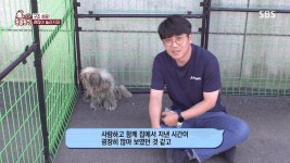 잡혀들어가는 방법을 알려달라는 누더기개...jpgif - 악플달면 쩌리쩌려버려 - ＊여성시대＊ 차분한 20대들의 알흠다운 공간 잡혀들어가는... 