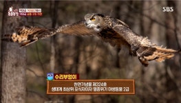 오늘자 손에 땀을 쥐게 만든 동물농장 추격전.gif - 악플달면... 차분한 20대들의 알흠다운 공간 오늘자 손에 땀을 쥐게 만든 동물농장 추격전.gif