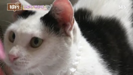 뻔순이 니 나한테 왜 그러니..jpgif - 악플달면 쩌리쩌려버려 - ＊여성시대＊ 차분한 20대들의 알흠다운 공간 뻔순이 니 나한테 왜 그러니..... 