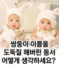 쌍둥이 이름을 도둑질 해버린 동서 - 악플달면 쩌리쩌려버려 - ＊여성시대＊ 차분한 20대들의 알흠다운 공간 쌍둥이 이름을 도둑질 해버린 동서