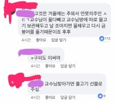 영대 연못에 금붕어들이 없어졌다 생기는 이유 - 악플달면... 차분한 20대들의 알흠다운 공간 영대 연못에 금붕어들이 없어졌다 생기는 이유