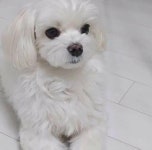 경태 아부지가 올려 주신 꼬마시절 경태 🤍 - 악플달면 쩌리쩌려버려... 20대들의 알흠다운 공간 경태 아부지가 올려 주신 꼬마시절 경태 🤍