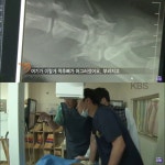 [다큐 3일] 대학 동물병원의 72시간 - 악플달면 쩌리쩌려버려 - ＊여성시대＊ 차분한 20대들의 알흠다운 공간 [다큐 3일] 대학 동물병원의 72시간