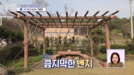 ＜구해줘 홈즈＞ 충남 천안시 서북구 입장면 매매가 3억 9천 9백인 전원주택 - 악플달면 쩌리쩌려버려 - ＊여성시대＊ 차분한 20대들의... 