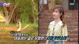 [런닝맨] 유재석 : 승희씨 저희 멤버들이랑 닮은 동물이 뭐가 있을까요?... [런닝맨] 유재석 : 승희씨 저희 멤버들이랑 닮은 동물이 뭐가 있을까요?