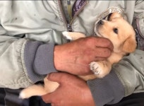 그냥 별거 없는 시골 똥개 영상 - 악플달면 쩌리쩌려버려 - ＊여성시대＊ 차분한 20대들의 알흠다운 공간 그냥 별거 없는 시골 똥개 영상