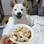 [강아지] 황태국 해줬더니 존나 신났어 - 메이드바이여시 - ＊여성시대＊ 차분한 20대들의 알흠다운 공간 [강아지] 황태국 해줬더니 존나 신났어