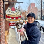 동물농장 똥개보필프로젝트에 참여중인 연예인과 임보 강아지들... 알흠다운 공간 동물농장 똥개보필프로젝트에 참여중인 연예인과 임보 강아지들