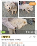 김고은과 월이🌕🐶 - [이슈] 목욕탕 정보통 - 우리 동네 목욕탕 김고은과 월이🌕🐶