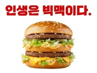 이 이유로 맥도날드 빅맥 안좋아하는 사람들 있음.jpg - 악플달면... 20대들의 알흠다운 공간 이 이유로 맥도날드 빅맥 안좋아하는 사람들 있음.jpg