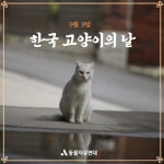 오늘은 한국 고양이의 날 - 악플달면 쩌리쩌려버려 - ＊여성시대＊ 차분한 20대들의 알흠다운 공간 오늘은 한국 고양이의 날