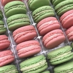 예쁘고 키치한 pink+green 색조합 이미지 - 악플달면 쩌리쩌려버려 - ＊여성시대＊ 차분한 20대들의 알흠다운 공간 예쁘고 키치한 pink... 